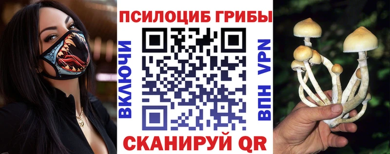 Купить закладки  Красновишерск  Псилоцибиновые грибы Psilocybe 